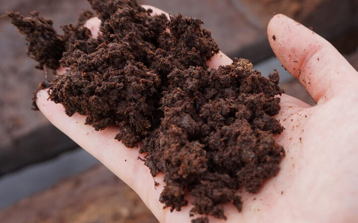 Peaty Clay